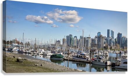 FS230425 2 Canvas Print