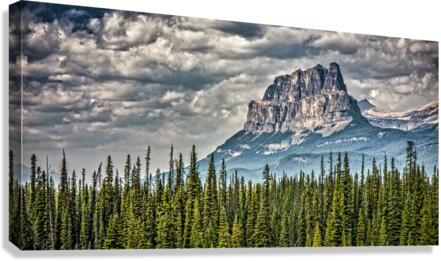 FS170901DW3 Canvas Print