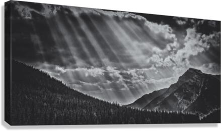 FS170901DW4 Canvas Print