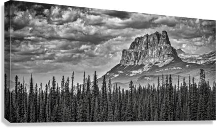 FS170901DW3 Canvas Print