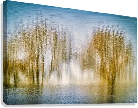 UNKNOWN 2023 Canvas Print