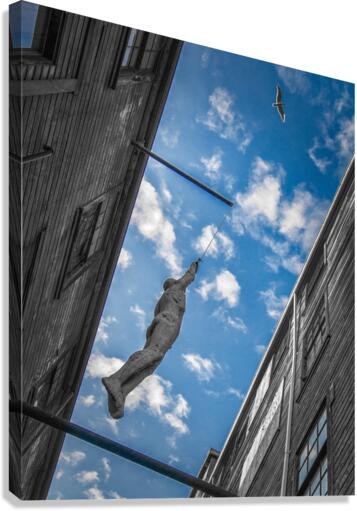 FS140721 Canvas Print