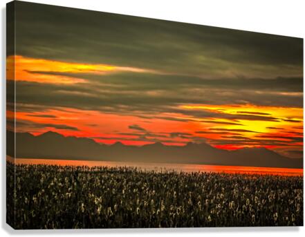 FS 150305 Canvas Print
