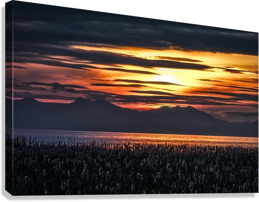 FS150305 Canvas Print