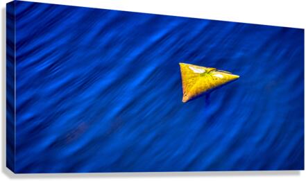 FS230627 TRIANGLE Canvas Print