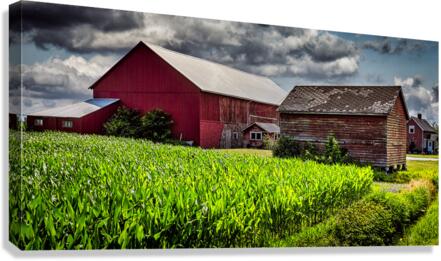 FS230703 Canvas Print