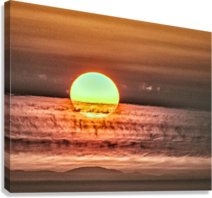 FS220902FF Canvas Print
