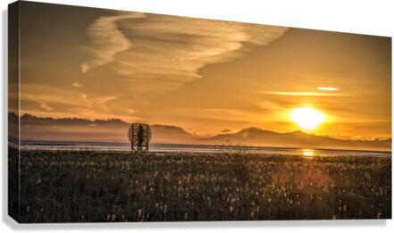 FS170319DW Canvas Print