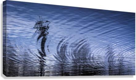 BLUE WATER 2 Canvas Print
