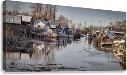 FS170105 2 Canvas Print