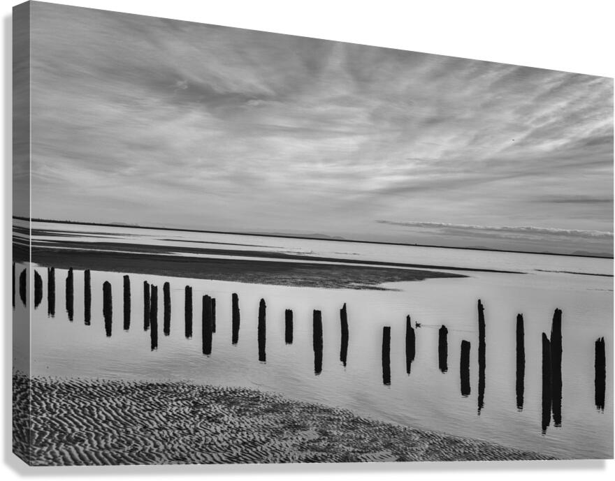 FS180210BW Canvas Print