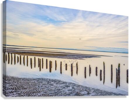 FS180210 SOFT Canvas Print