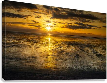 FS180226F Canvas Print