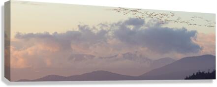FS180304 092 Canvas Print