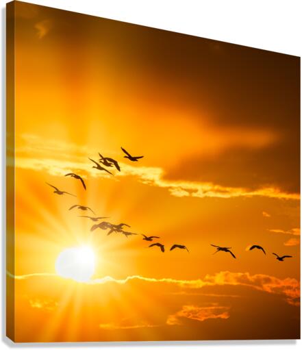 FS180304S Canvas Print