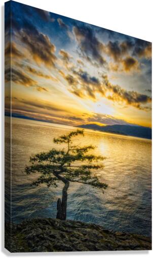 FS180417TR2 Canvas Print