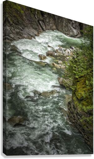 FS180630 13 Canvas Print
