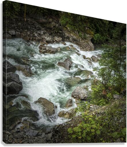 FS180630 18 Canvas Print