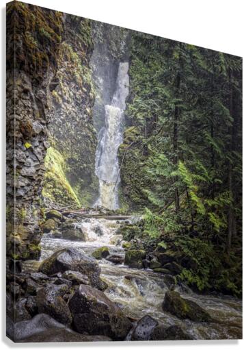 FS180629 Canvas Print