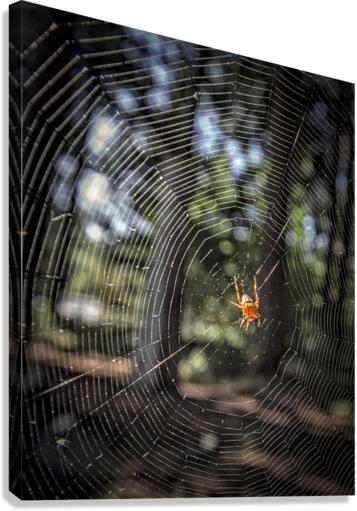 Building The Network Canvas Print