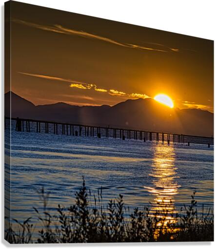 FS230920 3 Canvas Print