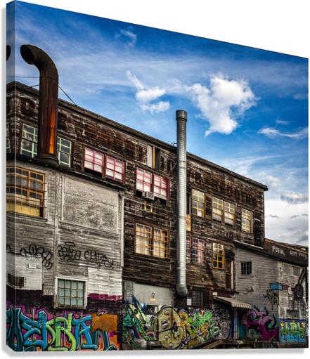 FS230910 06 Canvas Print