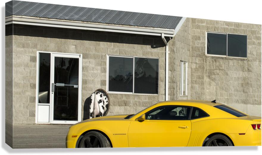 FS231007 2 WINDOWS Canvas Print