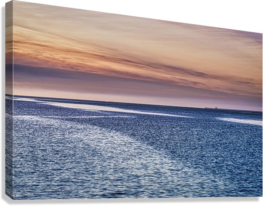 FS231012 2 Canvas Print