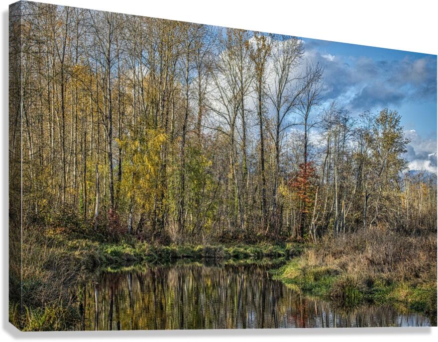 FS231113FF Canvas Print