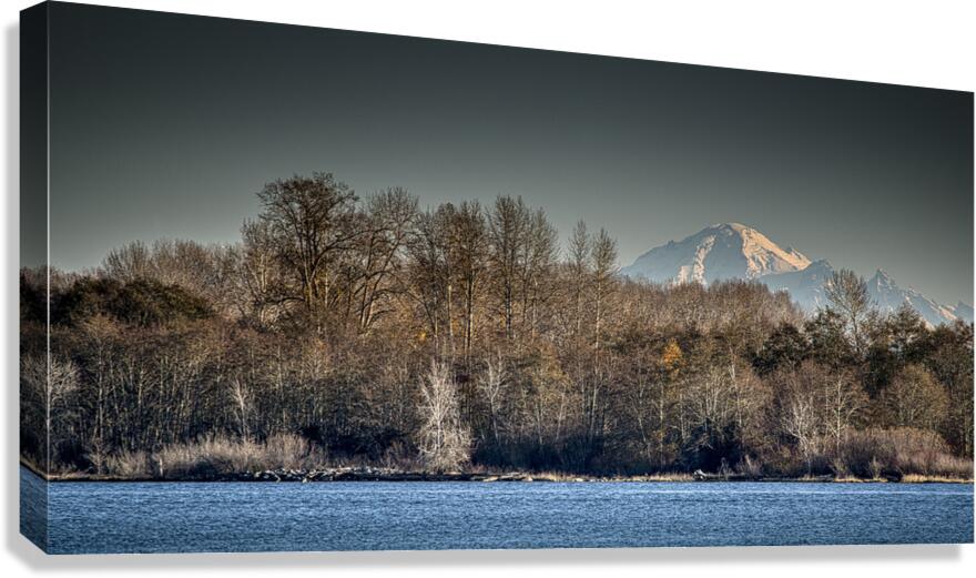 Mount Baker Canvas Print