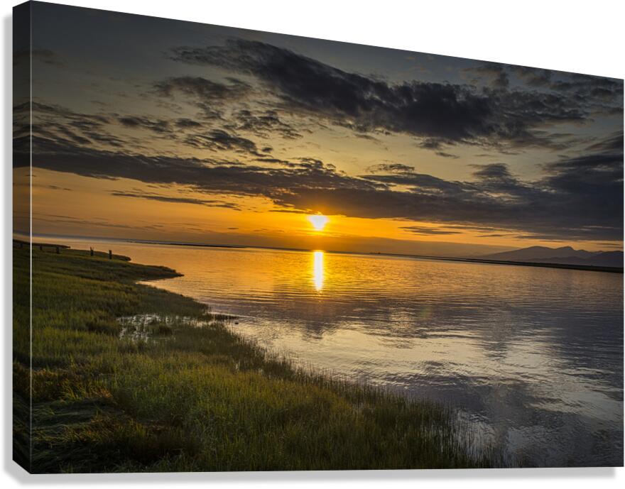FS160517 Canvas Print
