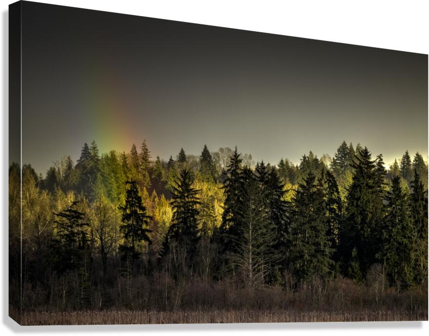 FS230221A Canvas Print