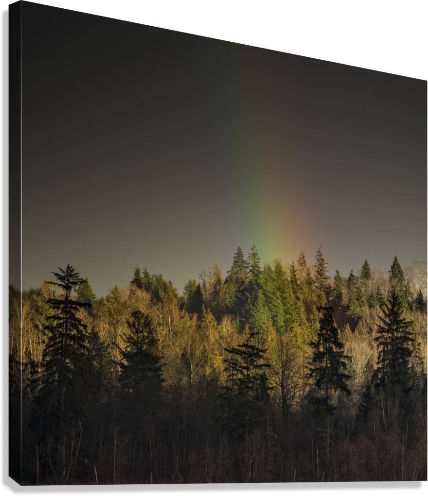 FS230221 S2 Canvas Print