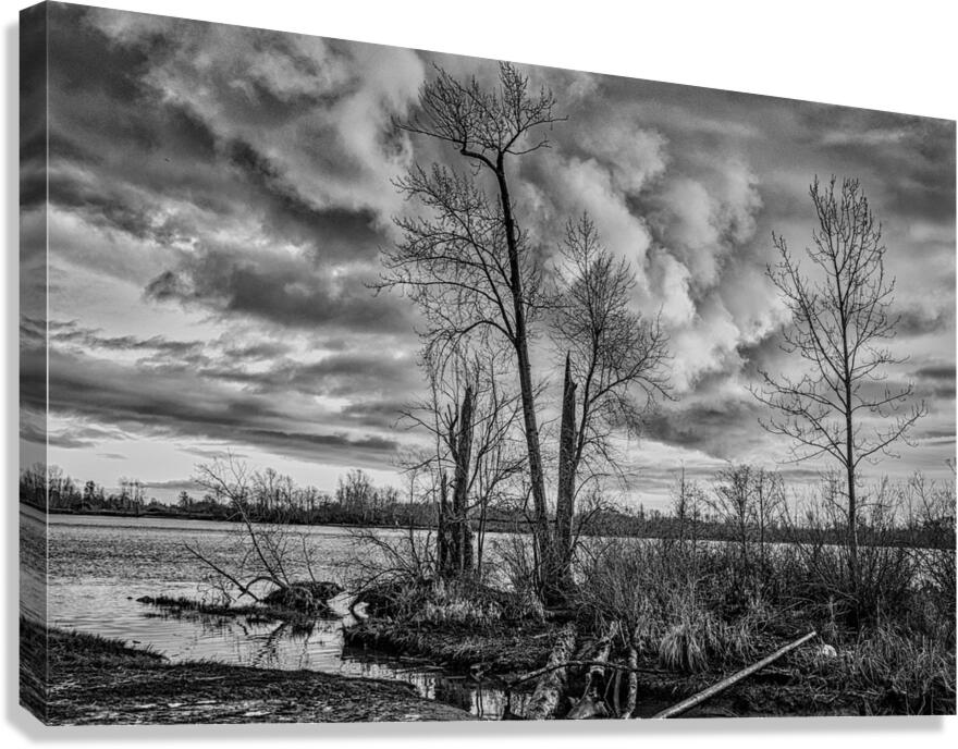 FS231231FA Canvas Print