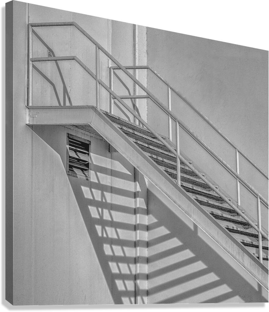 LADDERS Canvas Print