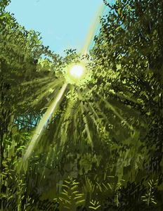 Sun Shine Over Trees