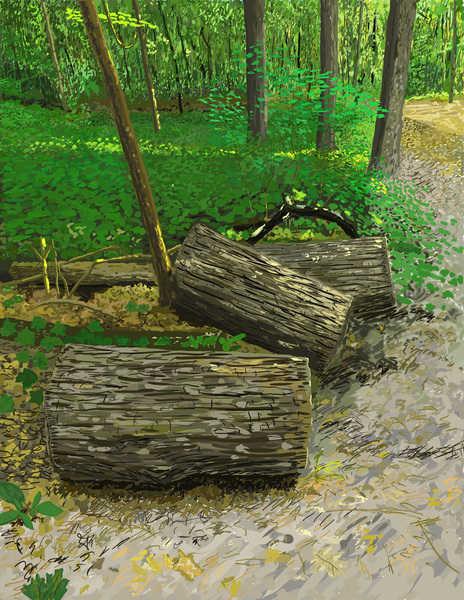 Cut Trees by Path in Forest by sdartlifecreations