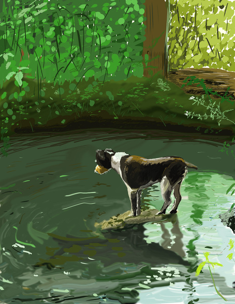 Dog in Brook Print