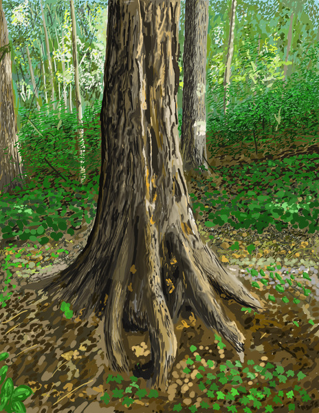 Tree Roots Print