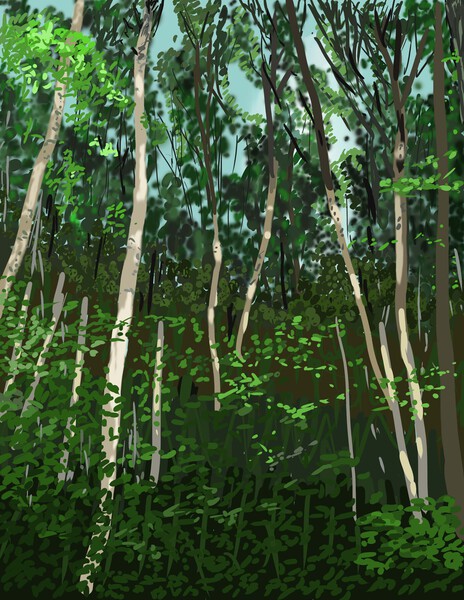 Patterson Forest Trees Print