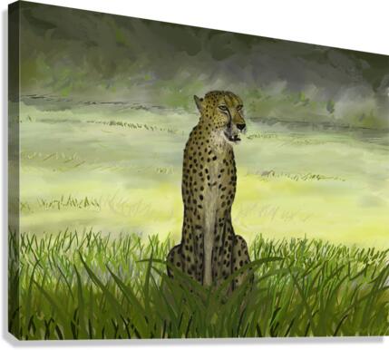 Cheetah Canvas Print