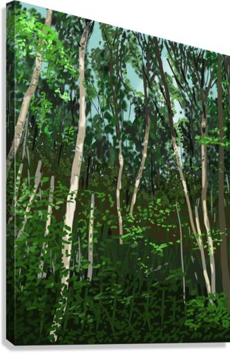 Patterson Forest Trees Canvas Print
