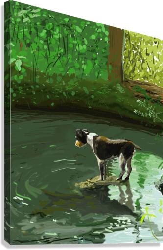 Dog in Brook Canvas Print