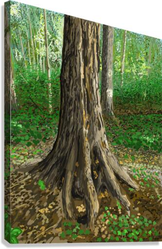 Tree Roots Canvas Print