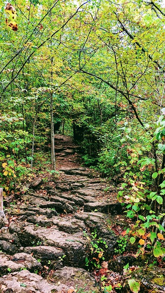 RockyTrail  Print