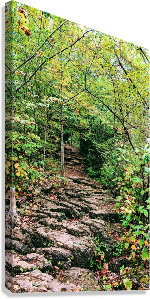 RockyTrail  Canvas Print