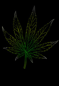 Weed