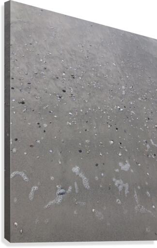 Sand walk. Canvas Print