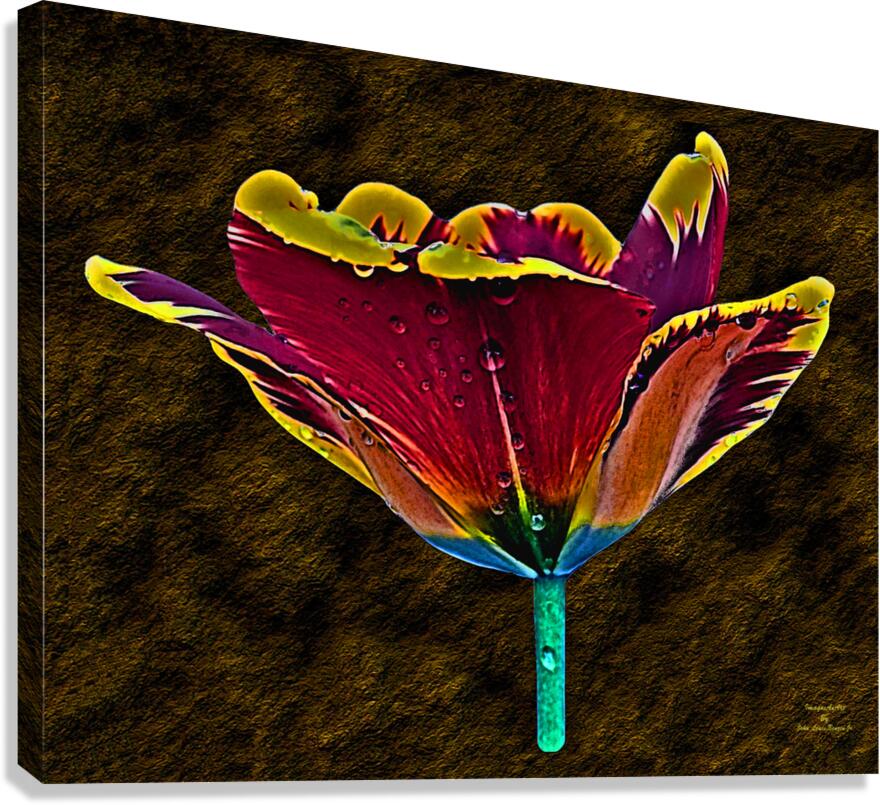 Tulip Art Canvas Print
