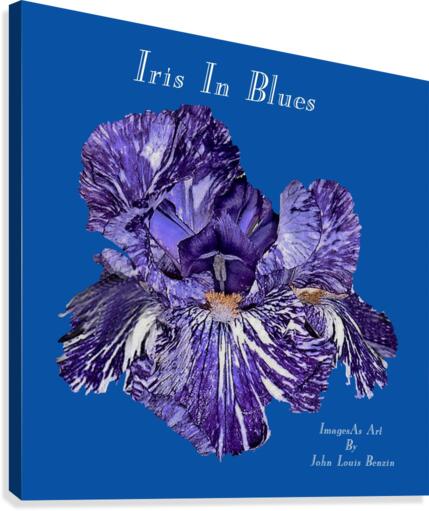 Iris In Blues Canvas Print
